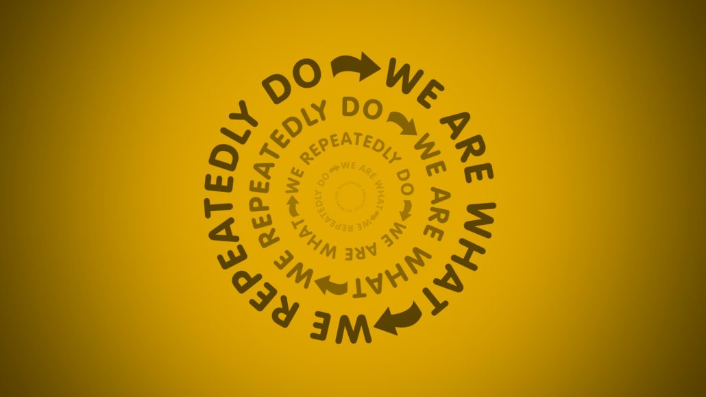 we-are-what-we-repeatedly-do